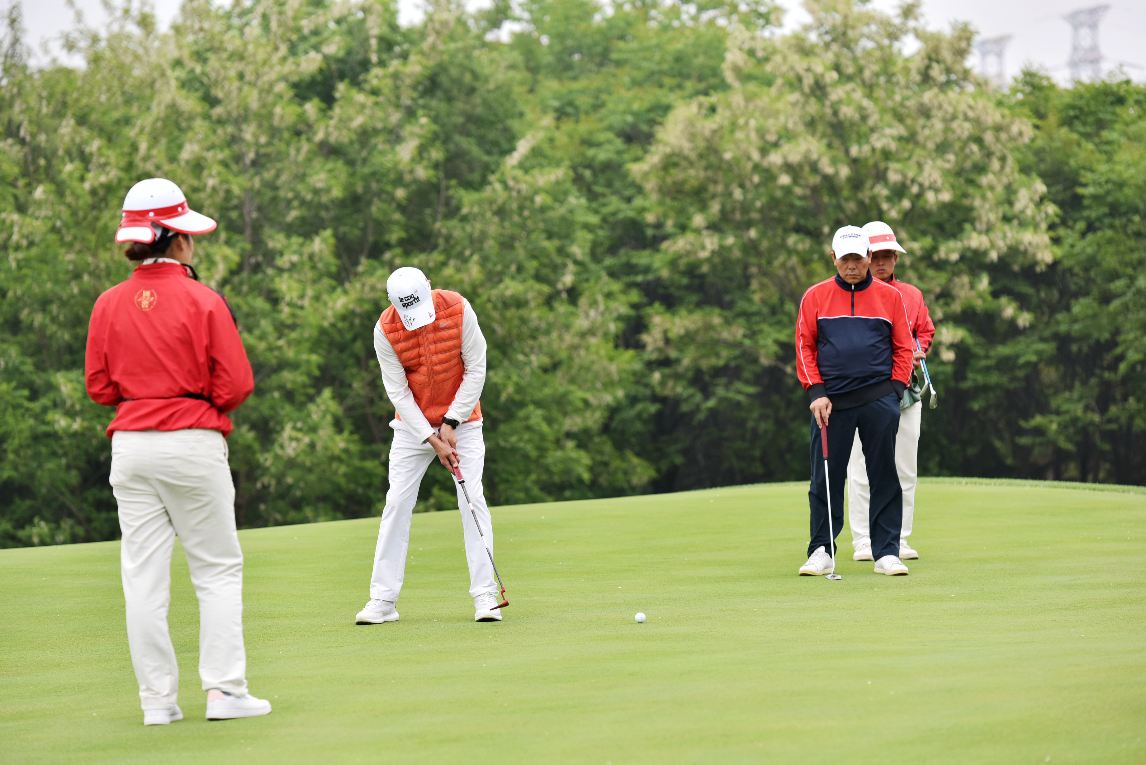 DSC_0262.jpg DSC_0262.jpg