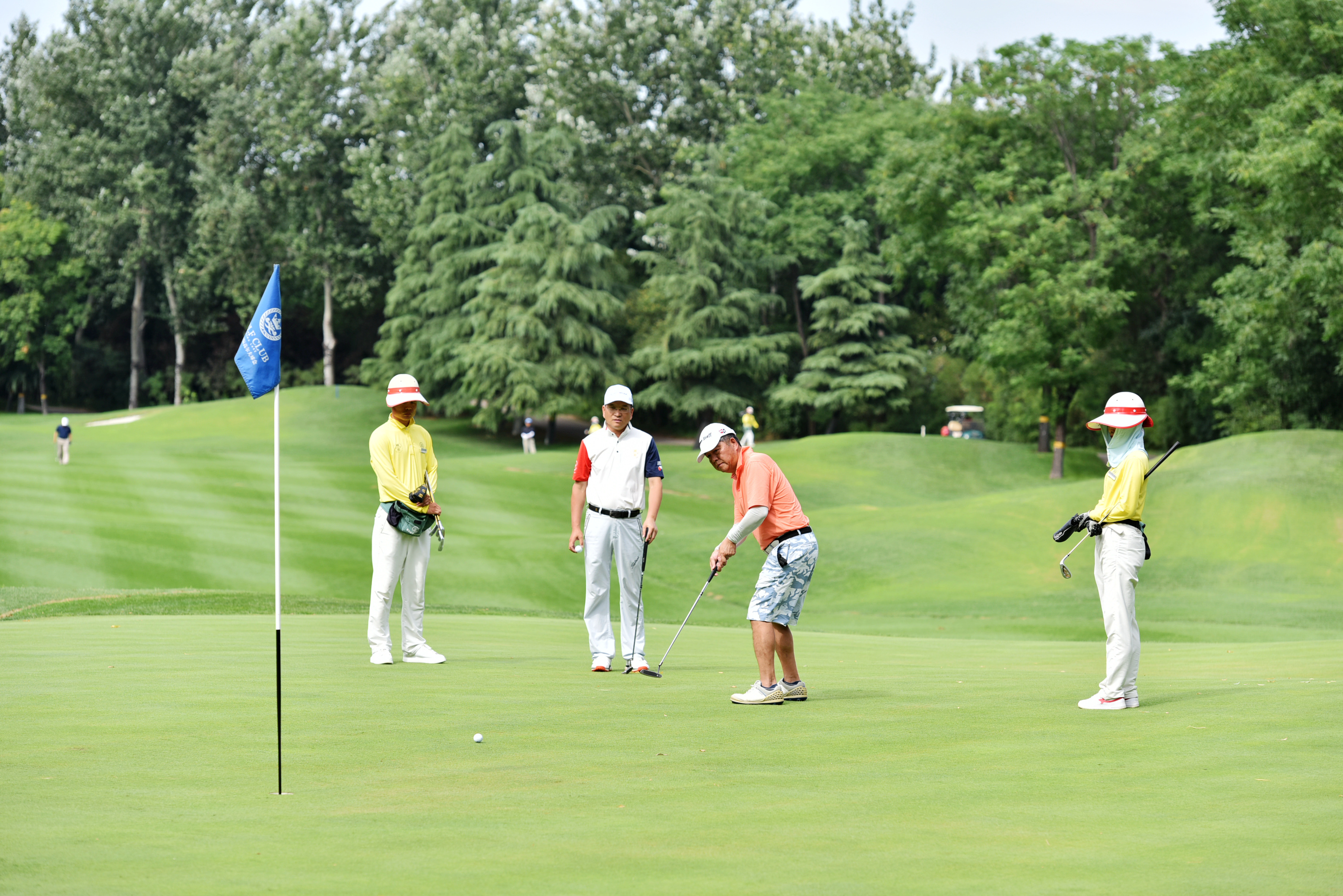 DSC_5274.jpg DSC_5274.jpg