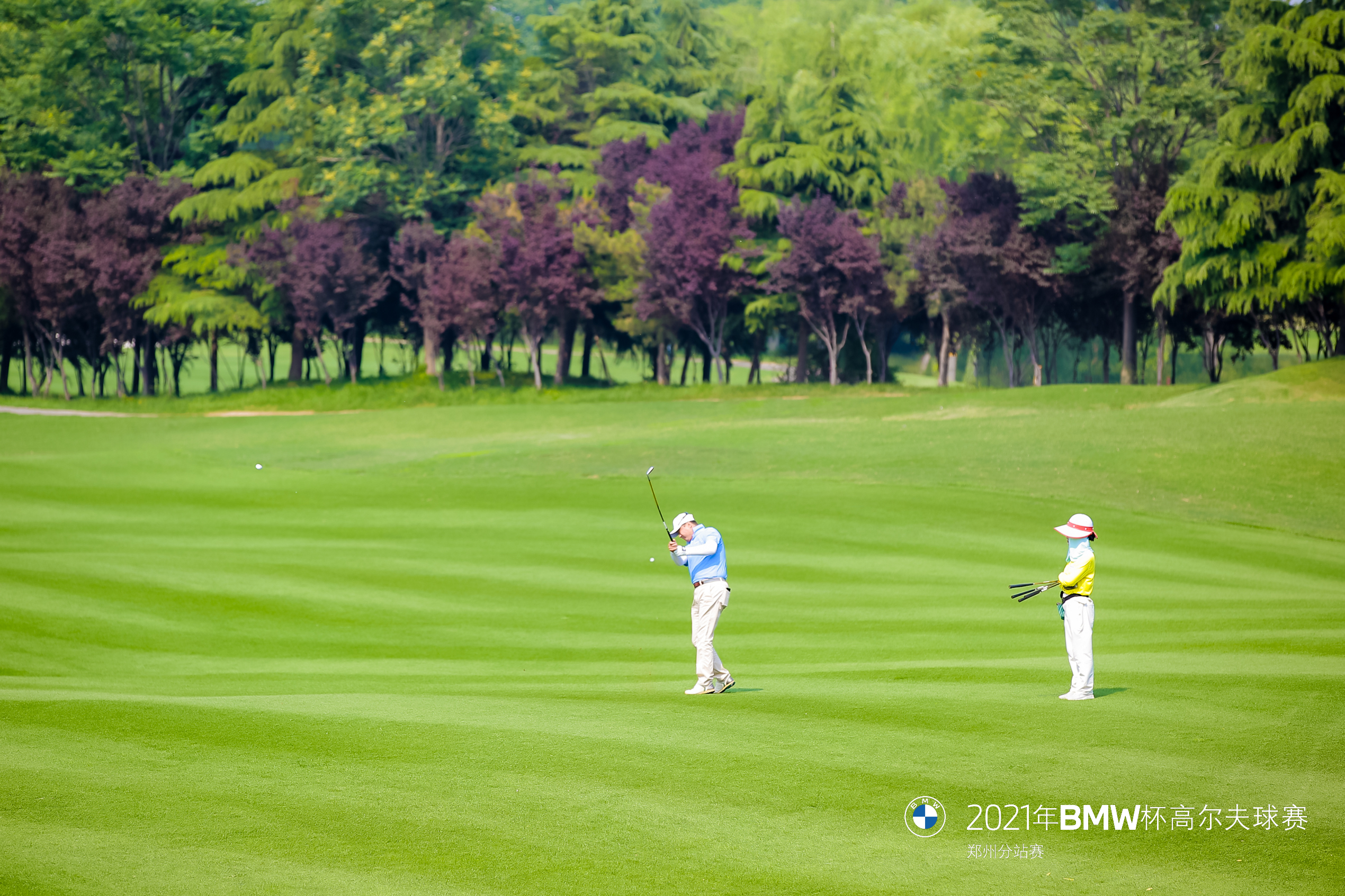 12879641.jpg 12879641.jpg