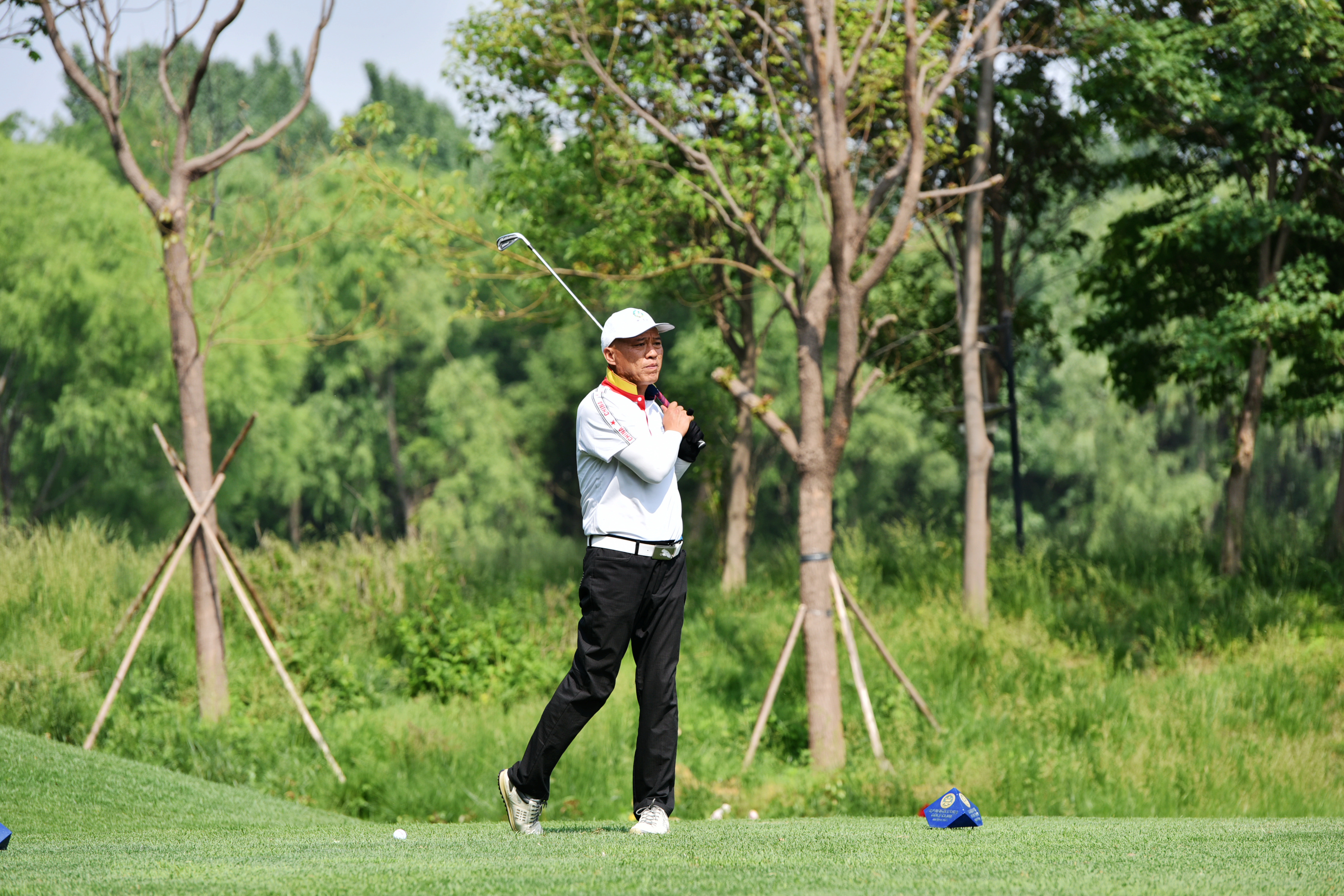 DSC_0986.jpg DSC_0986.jpg