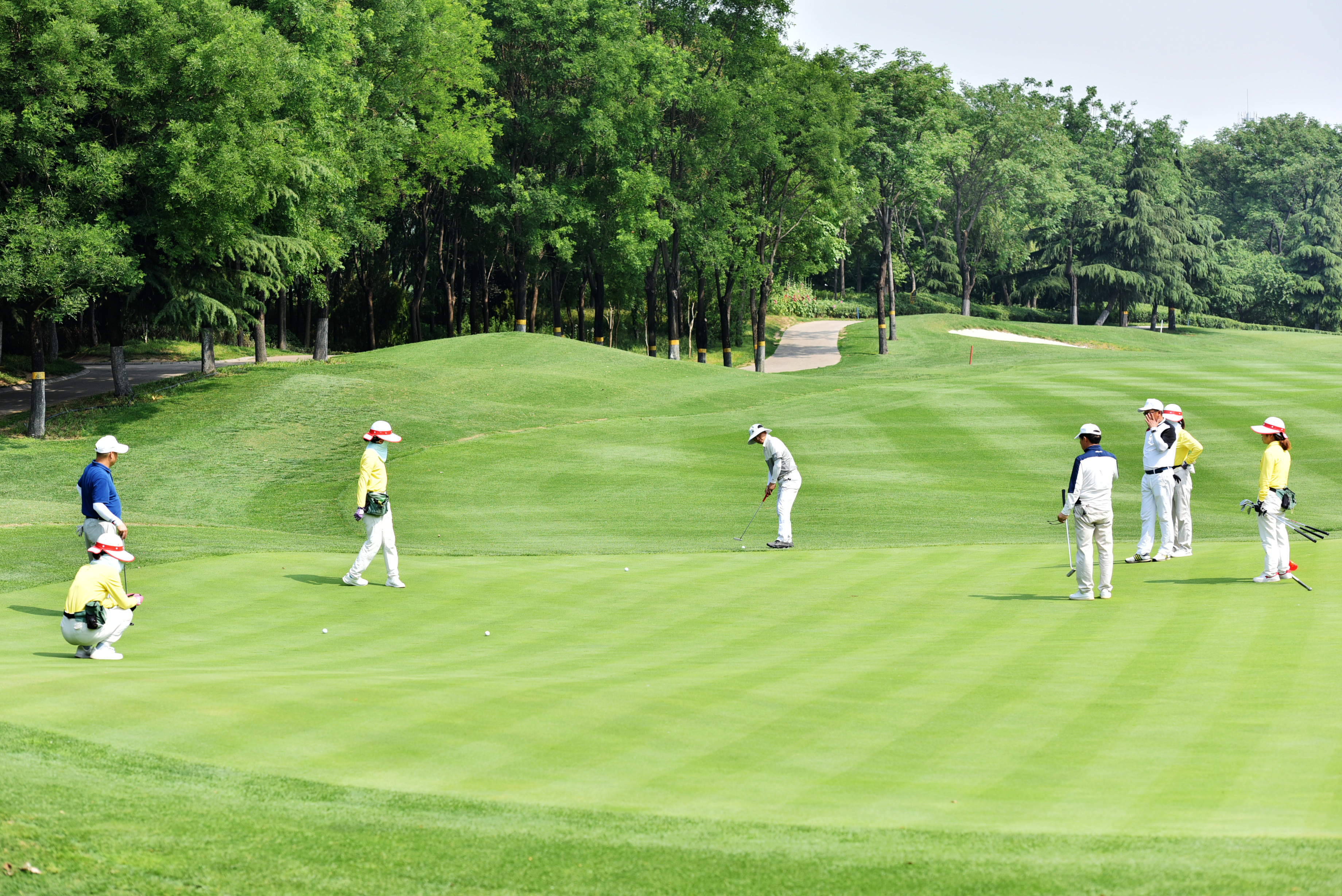 DSC_0977.jpg DSC_0977.jpg